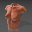 02.png 3D file Bust 08・3D printable model to download