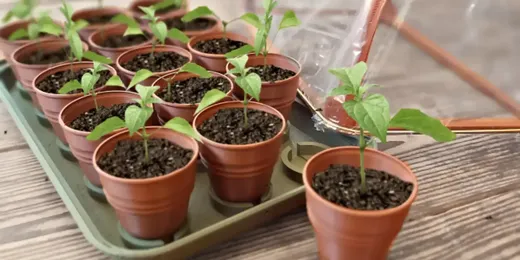 🏡 Best STL files 3D printed gardening tools