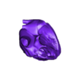 hearttogaExtract1.stl 3D Model of Heart with Transposition of the Great Arteries, long axis view