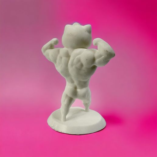 PhotoRoom_20230628_175408.jpeg Hello kitty swole body