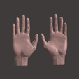 5.png HUMAN HAND SCANED