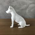 IMG-20240506-WA0025.jpg Jack Russell Low Poly