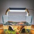IMG20230327184423.jpg lampara para acuario pequeño