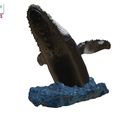Humpback-Whale-Head-off-the-Water-color-6.jpg Humpback Whale Head off the Water 3D printable model
