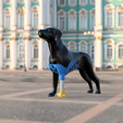 F4.png Left front limb prosthesis for dogs - Protesis para perro miembro delantero izquierdo