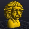einstein1.jpg Busto Educativo Albert Einstein - 4 Colores AMS/STL | Ciencia STEM Icono Figurilla