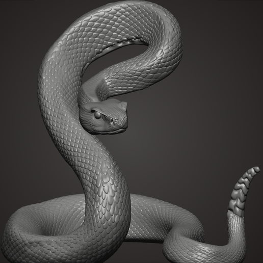 Snake