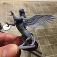 Photo Jan 25, 5 42 25 PM.jpg STL file Griffon Rampant・3D printable model to download