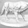 Wolf_Action_2.jpg Wolf - Action Pose - Tabletop Miniature