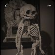 IMG_6452.jpg craniophages