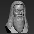 11.jpg Файл 3D Dumbledore from Harry Potter bust 3D printing ready stl obj・Модель для загрузки и печати в формате 3D