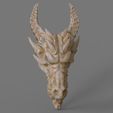 ds.489.jpg 3D-печатная модель черепа дракона