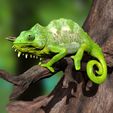 TQuadricornisPosterSzene0001.jpg Southern four-horned chameleon Triocerus quadricornis file with full-size texture STL 3D print high polygon - modeled in Zbrush with tree/branch