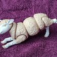 IMG_20250403_144546672.jpg Articulated Sheep