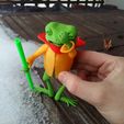 picture-(3).jpg Frog Hero