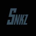 SNKZ_armament