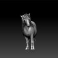 s12.jpg horse - pony horse