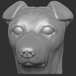 1.jpg STL file Jack Russell Terrier dog head for 3D printing・3D printer design to download