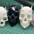 IMG_0056.jpg Fantasy skulls