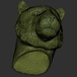 23.jpg Tiger head for 3D printing