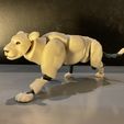 IMG_1194.jpg Lion Poseable Toy