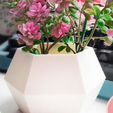 maceta-hexagonal-foto.png Pot hexagonal