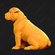 2962-Bulldog_Pose_05.jpg Bulldog Dog 3D Print Model Pose 05
