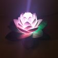20190703_154143.jpg Fichier 3D gratuit Lampe Lotus #POLYMAKERCHALLENGE・Objet pour impression 3D à télécharger