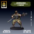 C3.jpg Commando: Command Squad