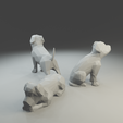4.png Low polygon Boxer dog 3D print model  in three poses