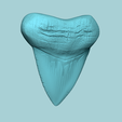 01.png Megalodon Tooth - Jurassic Fossile Real Size