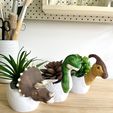 FE37F3CF-2C74-4C71-AD99-9B73E6F541AB.jpeg Dinosaurier-Eier 3er Set Blumentöpfe / Triceratops / Brachiosaurus / Parasaurus