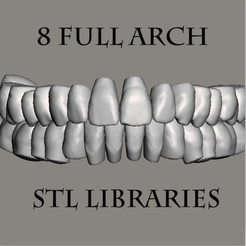 ApplicationFrameHost_TI9eBd0my7.png Natural Tooth Library Collection (8 models)