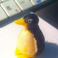 penguin.jpg Penguin