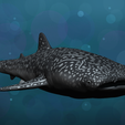 1.png Whale Shark