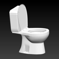 BPR_Composite.jpg Toilet