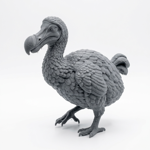 Dodo Bird Full Body 3D Printable Model - 1:10 Scale