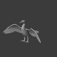 1.png Cormorant