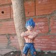 IMG_20201201_091012.jpg Vegeta Blaue Entwicklung