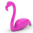 ViewCapture20240328_211118.jpg pink flamingo