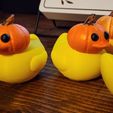 3.jpg Pumpkin Duck