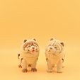 20260726_134549.jpg Articulated Chow Chow 🐾✨