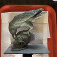 E0Jp_HRXEAELDzq.jpg STL file The Jewel Thief (Raven and Skull)・3D print object to download