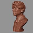 15.jpg Gong Yoo portrait model 3D print model