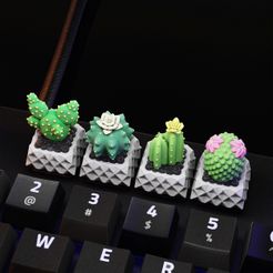 cactus_06.jpg STL-Datei Cactus Tastenkappen - Mechanische Tastatur・3D-druckbares Modell zum herunterladen