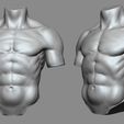 02.jpg Torso reference
