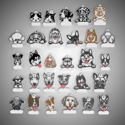 untitled.12.png COMPLETE PACK 29 DOG TAGS ACCORDING TO BREED