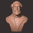 02.jpg General Robert E Lee bust sculpture 3D print model