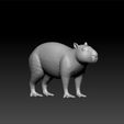 caiy1.jpg Capybara - Capybara 3d model for 3d print