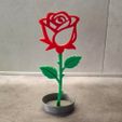 Rose-sur-tige-vue-de-face.jpg Rose éternelle décorative en pot – Impression 3D facile - sans AMS – Cadeau original 🌹
